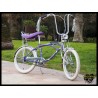 Bratz custom bike